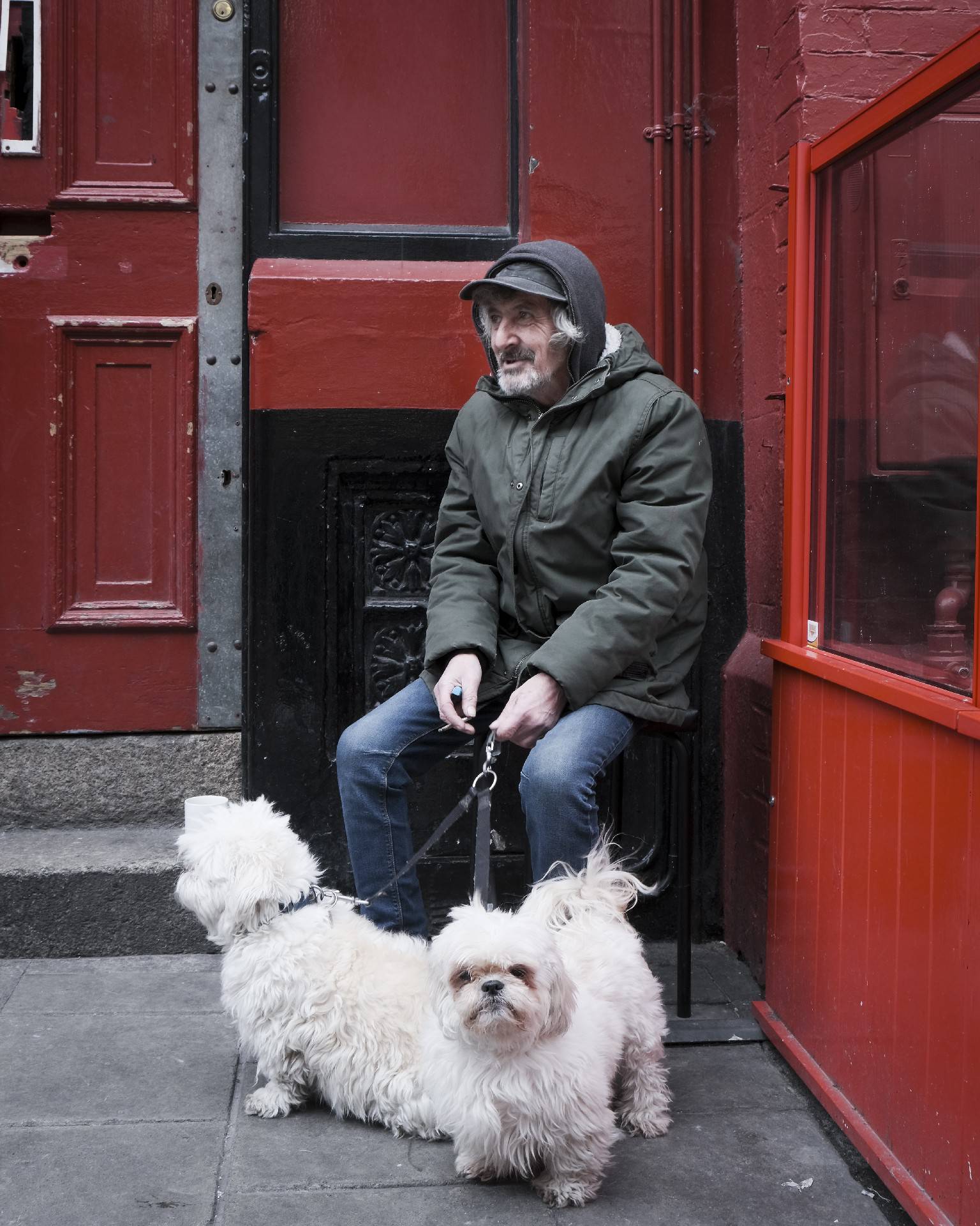 Man with 2 dogs
