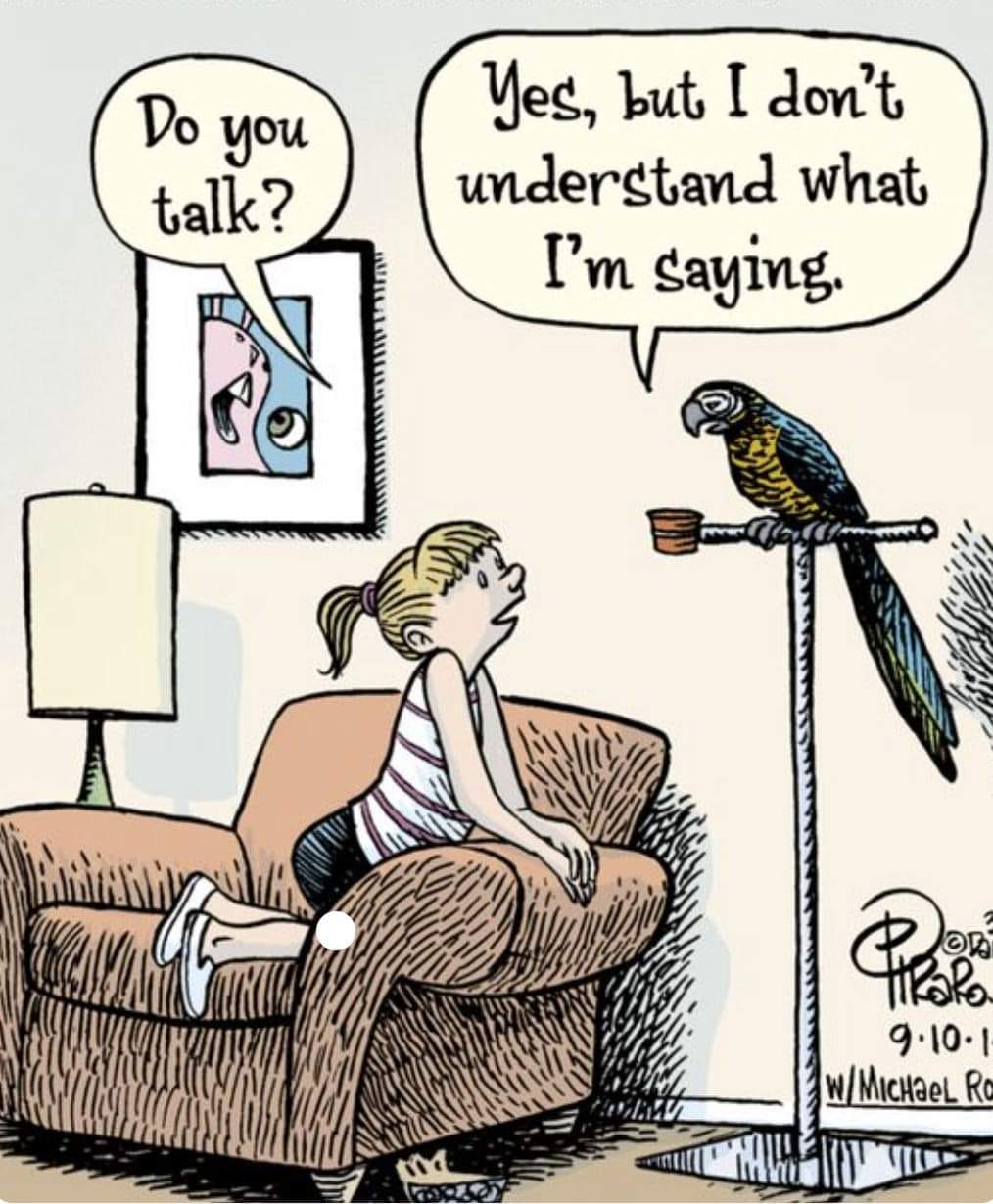 Do you talk?