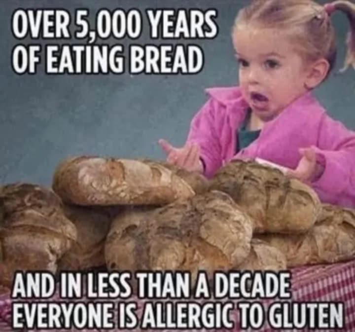 5000 years of eating bread without gluten allergies