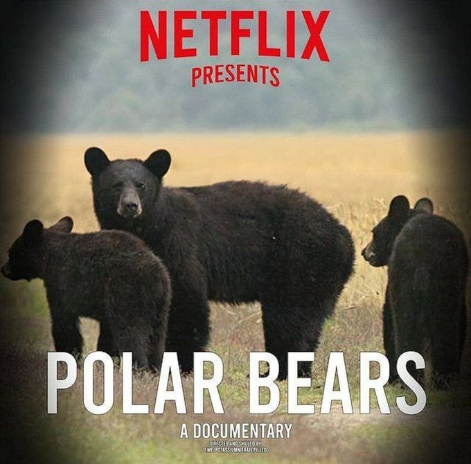 Netflix documentary: Polar bears